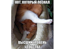 ���, ������� ������ ������ ������ ������� ��������