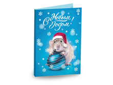 �������� 4 ��������� "� ����� �����! (�������� � �����)"