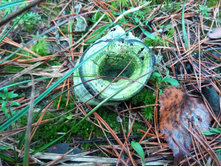 20191026 �������-��������� 145914.jpg