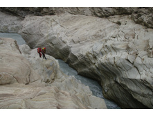 ������ ����