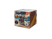 A7029 �����