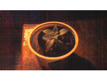 �������������� ������������