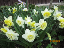 ������� �������� ��� ����  100�