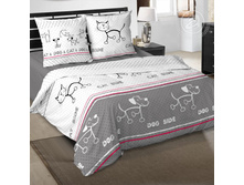 ������ ���� ���� 220 ��