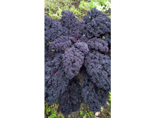 IMG 20191117 090351�.jpg