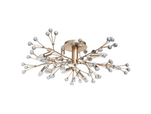 280011810 18�� (������� 32��).jpg