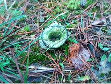 20191026 �������-��������� 145918.jpg