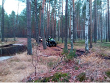 20191026 �������-��������� 161956.jpg