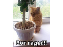 ��� ����!!!