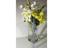 ����� -����-9.JPG