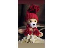 ������������ �������� �������  �� Dolce  � Dolphin Baby, � ������� � ������� ��  YA Jeans.jpg