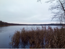 20191019 ��������� ����������� 120928.jpg