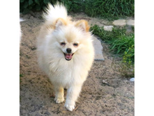 �������! 038.JPG