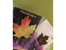 IMG 20191113 181412.jpg