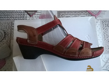 53. ������ 41, 1500 ���
