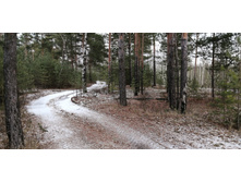 IMG 20191221 140514.jpg