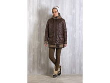 ������ ������ ����