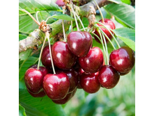 ������� ����� ��������, 289��� (�������� 8��).jpeg