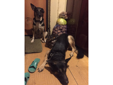 ����� 2....jpg