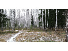 IMG 20191222 113332.jpg