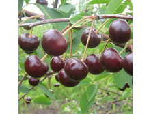 ����� ������ �������� ��������, 289��� (�������� 5��).jpeg