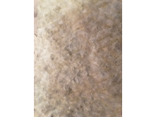 ����������� viber 2019-12-06 16-03-34.jpg