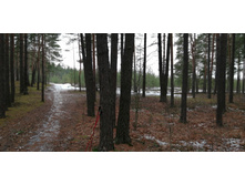 IMG 20191207 105731.jpg