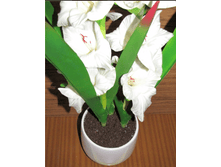 ���� � ������-2.PNG