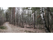 IMG 20191228 122606.jpg