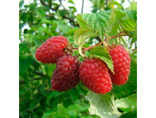 ������ ����� ��������, 119��� (�������� 5��).jpeg