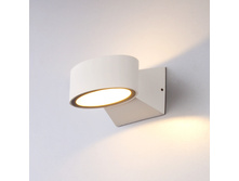 1549 Techno LED 1250�.jpg