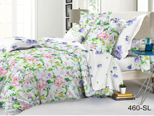 ���� � ����-460-SL.jpg