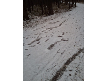 IMG 20191215 130643.jpg