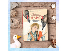 74961355 2953316774894088 3790412254112202884 n.jpg