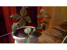 ��������� �������