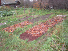 ������� � ����