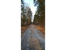 IMG 20191214 113618.jpg