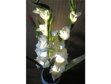 ���� � ������-7.PNG