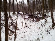 IMG 20191215 105925.jpg