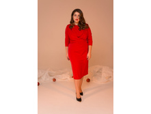 ������N1-113-red,�.50,52,54,2995�..jpg