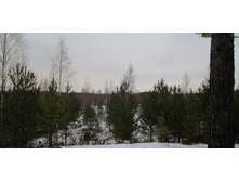 IMG 20191207 112931.jpg