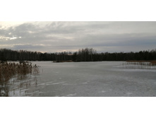 IMG 20191221 130327.jpg