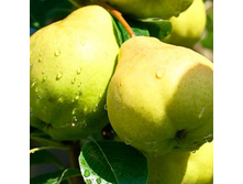 ����� ������������ ���� ��������, 209��� (�������� 5��).jpeg