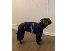 ����������� viber 2019-12-12 08-30-42.jpg