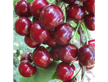 ������� ���������� ��������, 289��� (�������� 10��).jpg