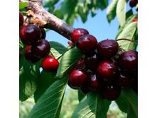 ������� ����� ��������, 289��� (�������� 5��).jpeg