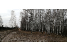 IMG 20191228 110801.jpg