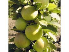 ������ ������� ������ ��������, 269,9��� (�������� 3��).jpeg