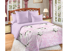 ���������� �����.jpg