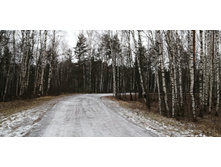 IMG 20191228 120945.jpg